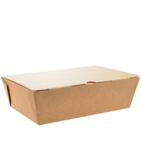 Food To Go Box Large